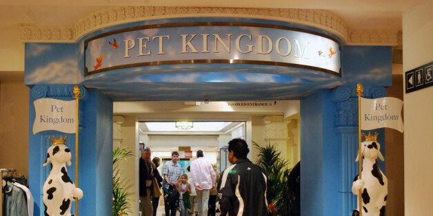 Фантастический зоомагазин Pet Kingdom в Лондоне закрылся на рубеже своего векового существования. Царство домашних животных.