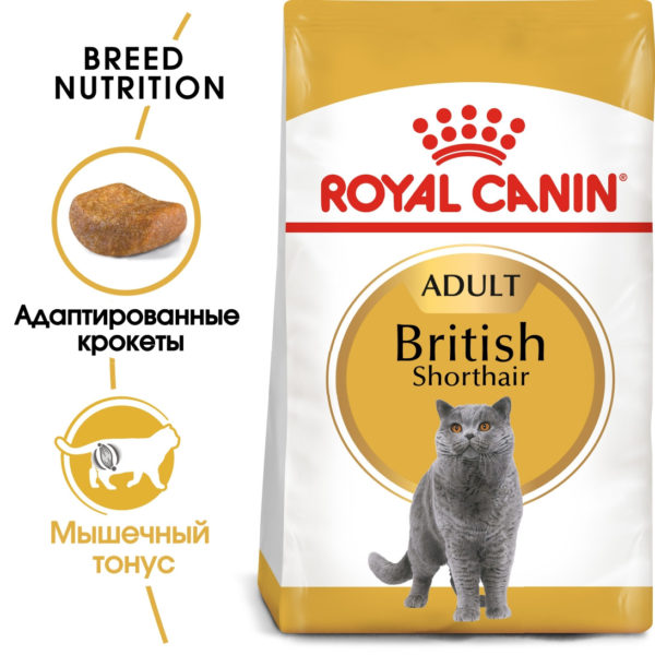Царство домашних животных. Сухой корм Royal Canin British Shorthair Adult для взрослых кошек породы британской короткошерстной.