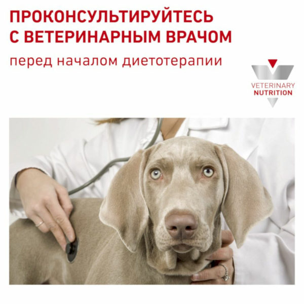 Сухой диетический корм Royal Canin Hypoallergenic DR21 для собак при пищевой аллергии или непереносимости. Царство домашних животных.