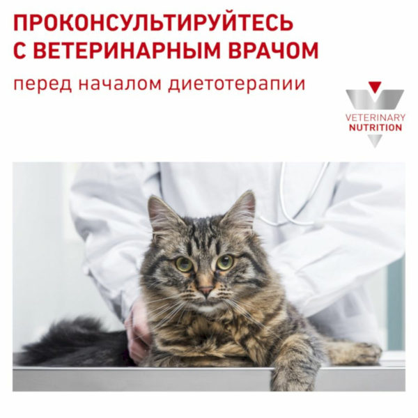Сухой корм Royal Canin Gastrointestinal Fibre Response FR31 Feline для кошек при нарушении пищеварения. Царство домашних животных.