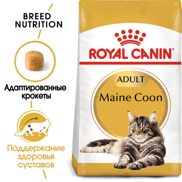 Царство домашних животных. Сухой корм Royal Canin Maine Coon Adult для взрослых кошек породы мейн-кун.