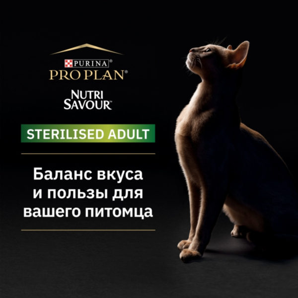 Влажный корм Pro Plan Nutri Savour для взрослых стерилизованных кошек и кастрированных котов, вкусные кусочки с индейкой, в желе - 85 г. Царство домашних животных.
